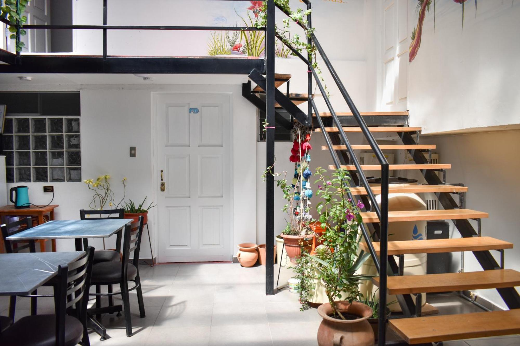 Apart Hotel El Puma Κούζκο Εξωτερικό φωτογραφία